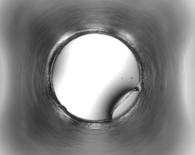 X0000084551172200703161641