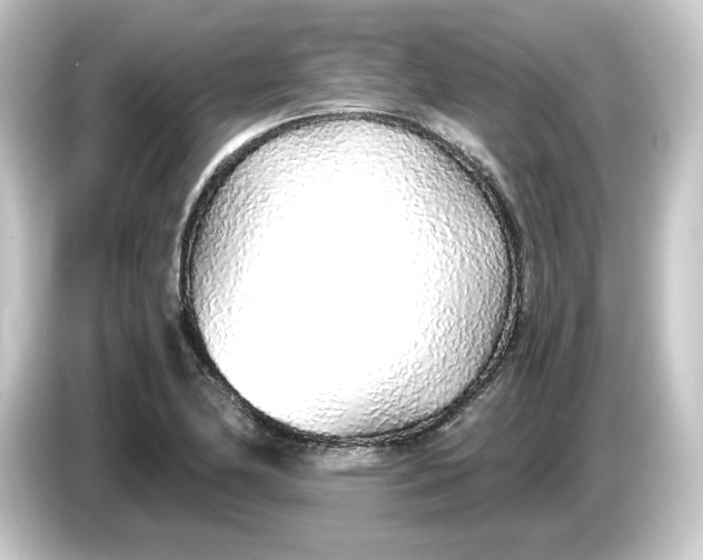 X0000084551174200703161641