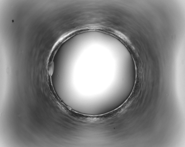 X0000084551176200703161641