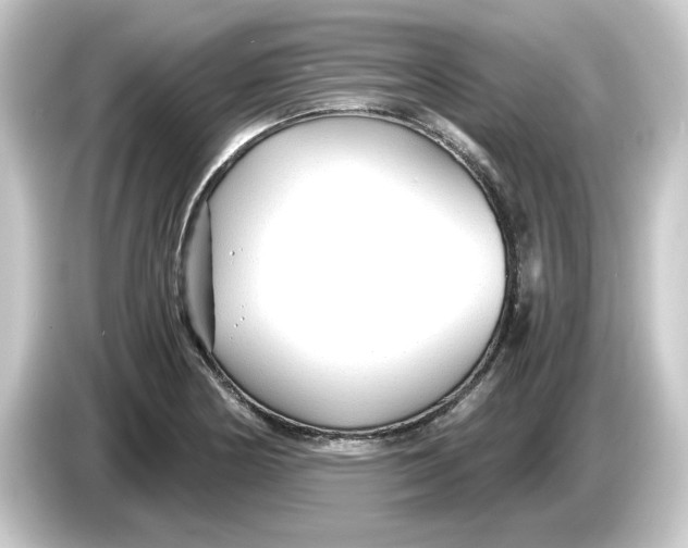 X0000084551178200703161641