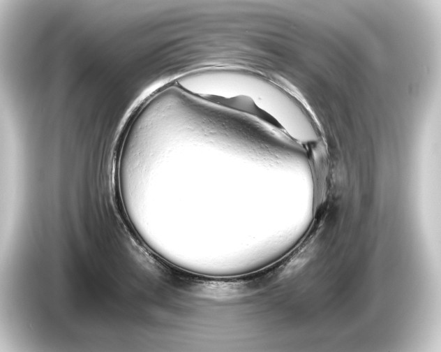 X0000084551179200703161641