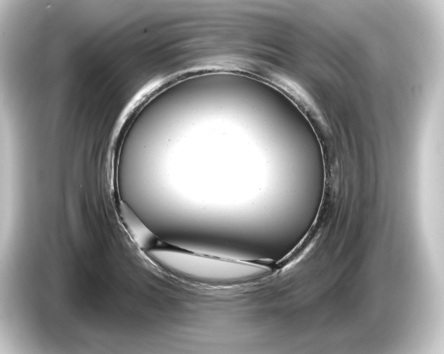 X0000084551180200703161641