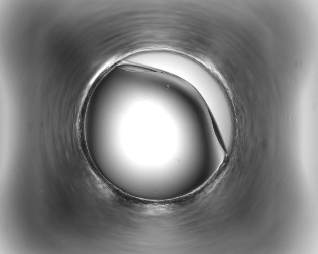 X0000084551181200703161641