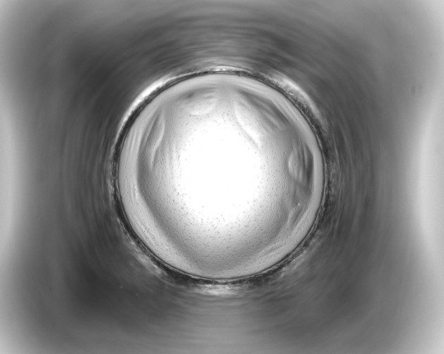 X0000084551182200703161641