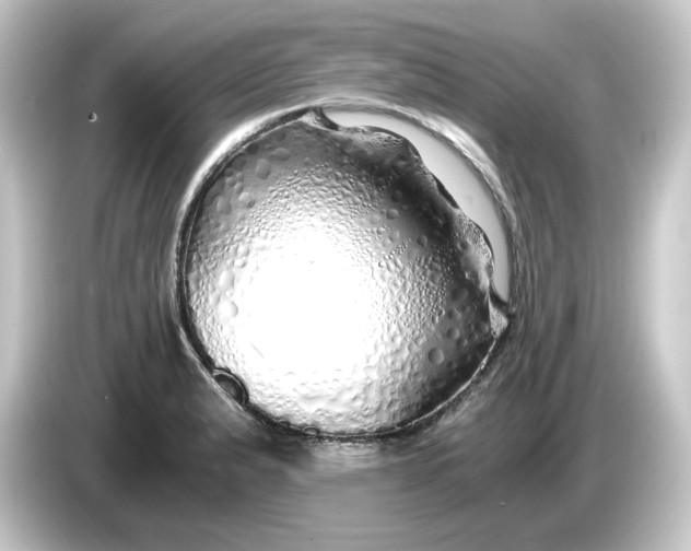 X0000084551183200703161641