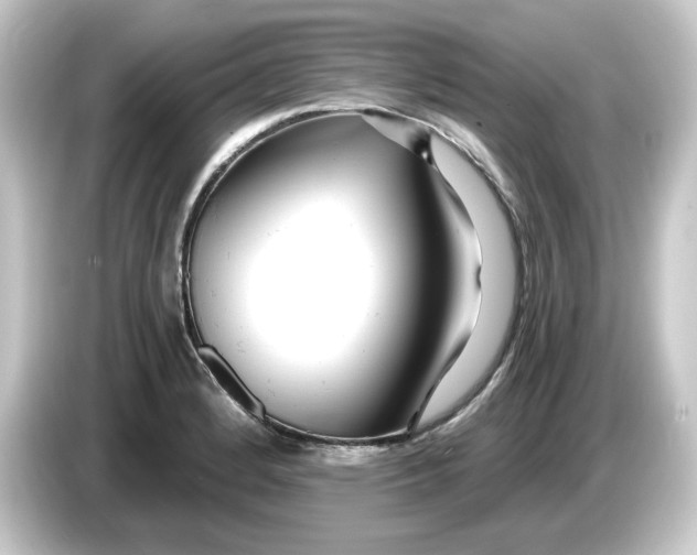 X0000084551184200703161641