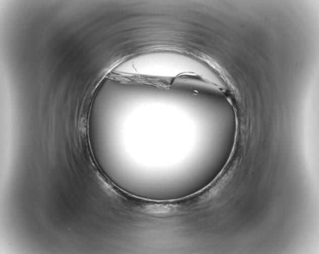 X0000084551185200703161641