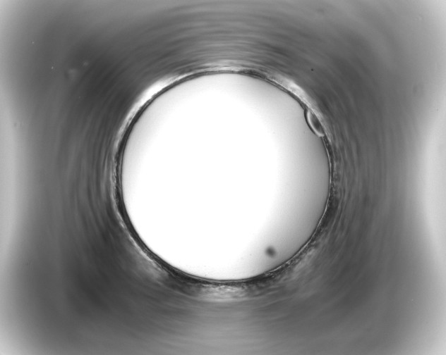 X0000084551187200703161641