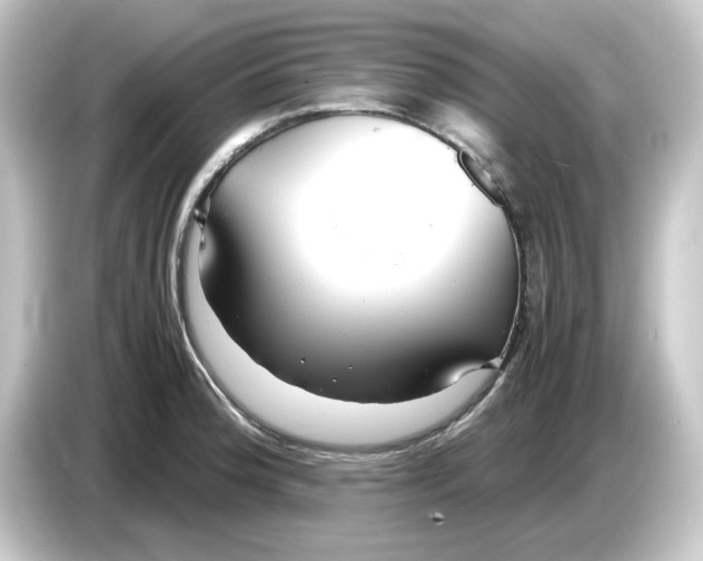 X0000084551188200703161641