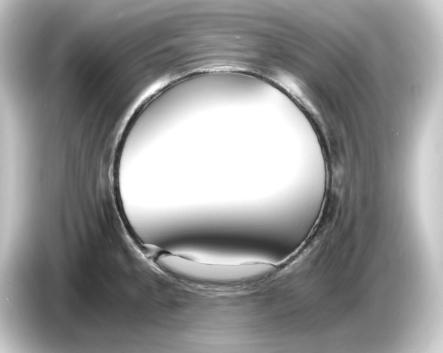 X0000084551189200703161641