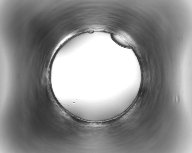 X0000084551190200703161641