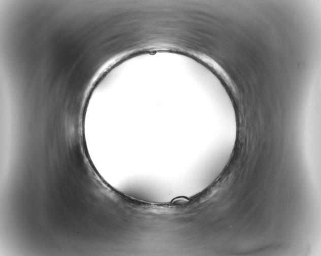 X0000084551191200703161641