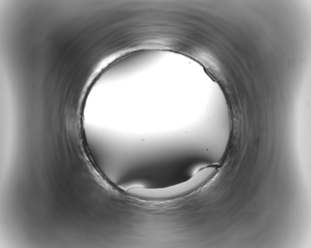 X0000084551192200703161641