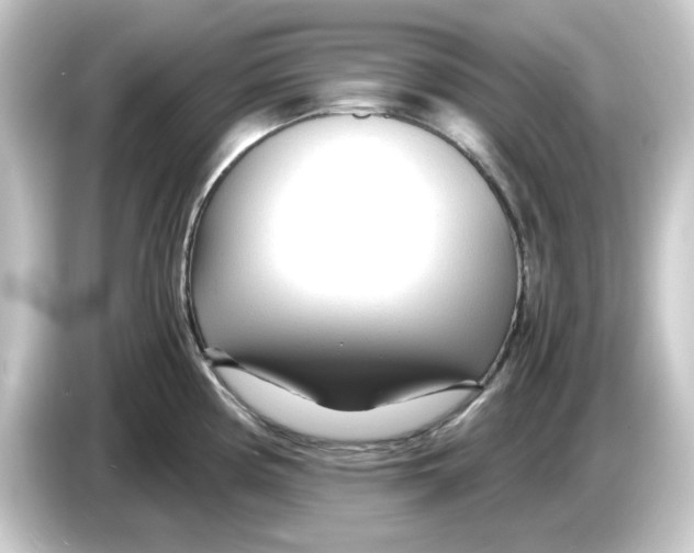 X0000084551194200703161641