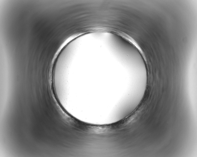 X0000084551195200703161641