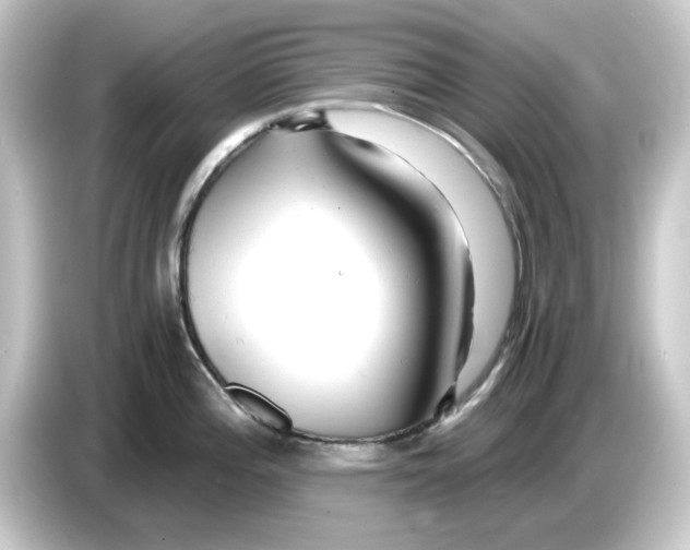 X0000084551196200703161641