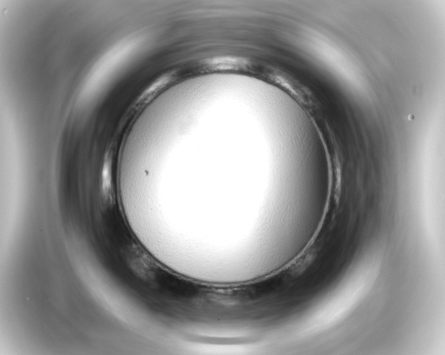 X0000084551198200703161641