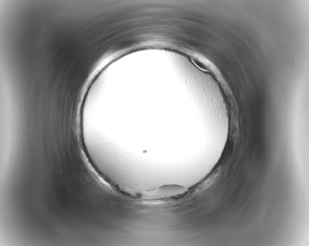 X0000084551199200703161641