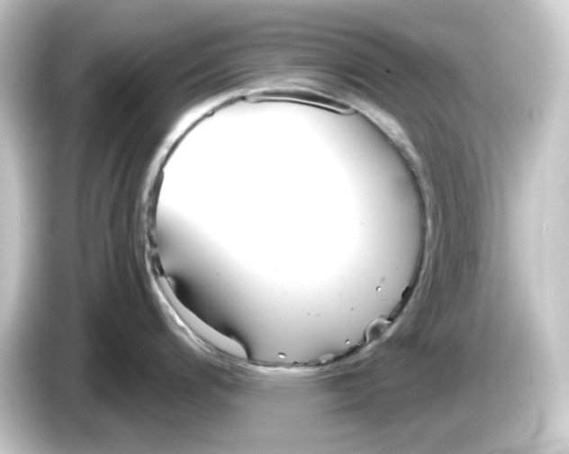 X0000084551200200703161641