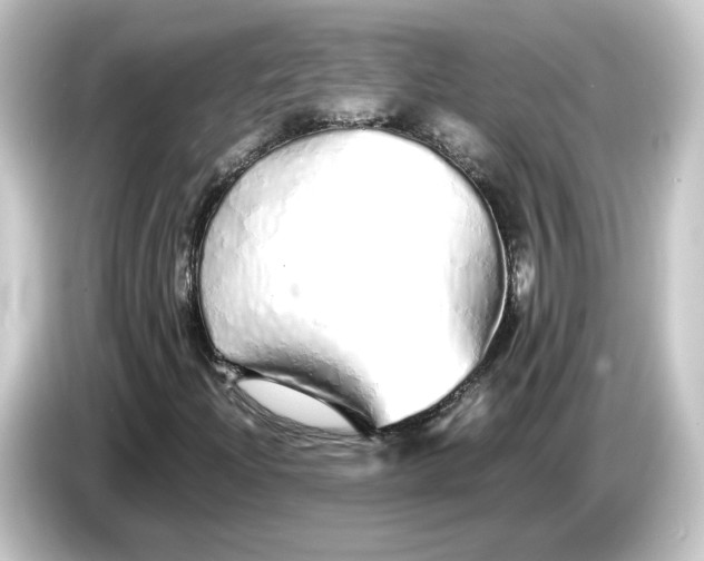 X0000084551204200703161640