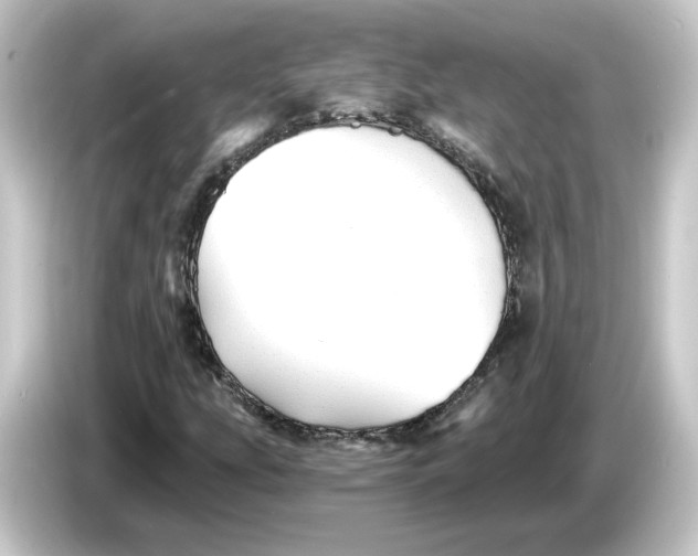 X0000084551207200703161640