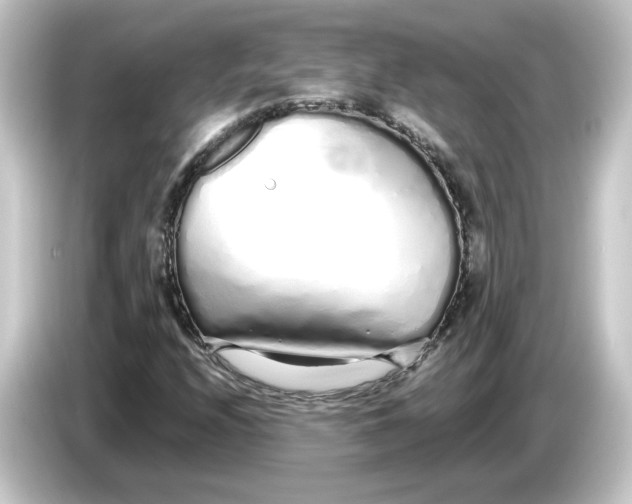 X0000084551208200703161640