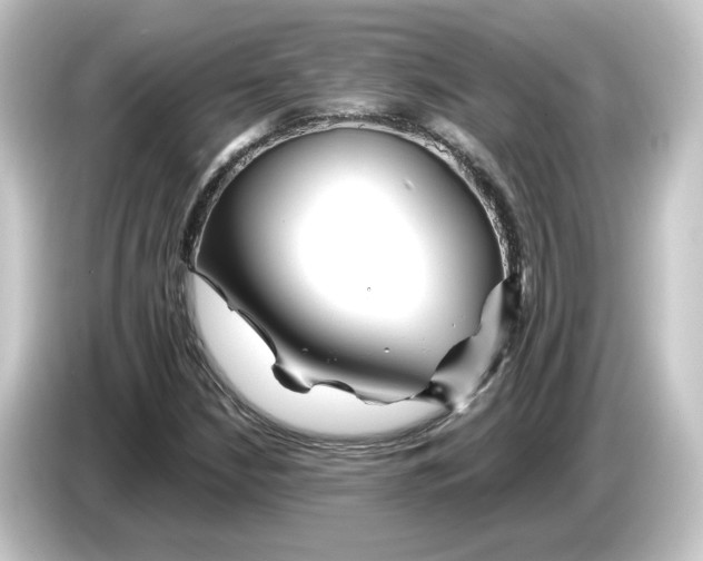 X0000084551210200703161640