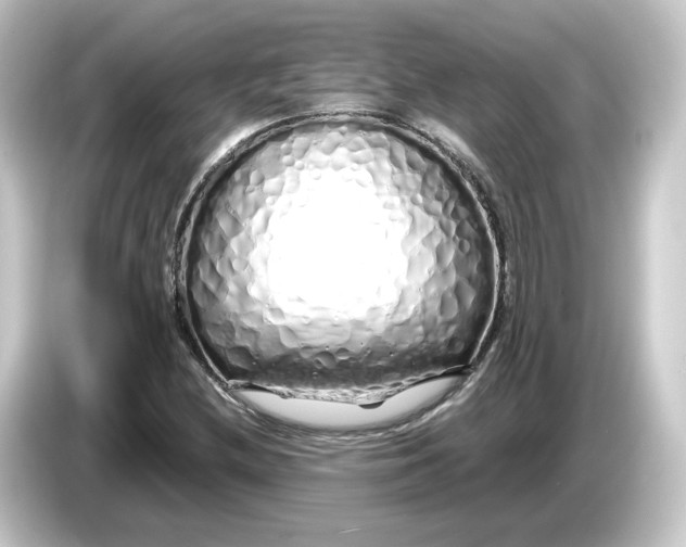 X0000084551212200703161640