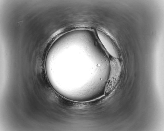 X0000084551213200703161640