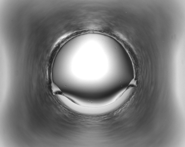 X0000084551214200703161640