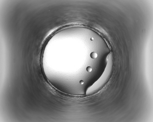 X0000084551216200703161640