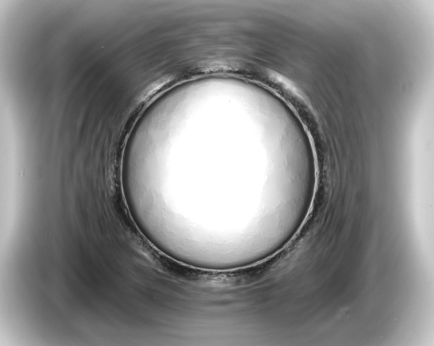 X0000084551217200703161640