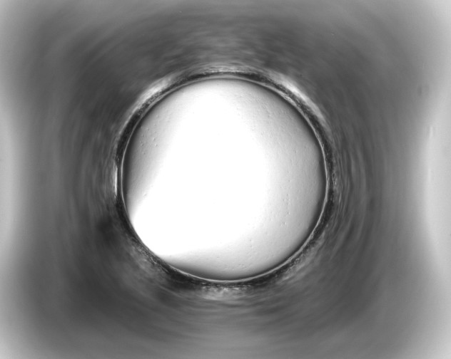 X0000084551221200703161640