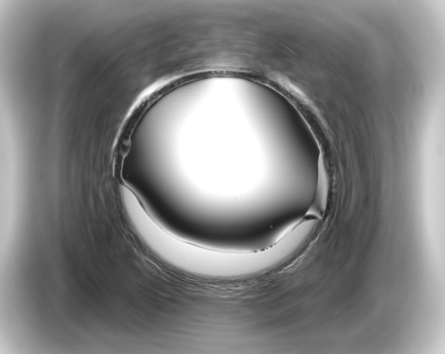 X0000084551222200703161640