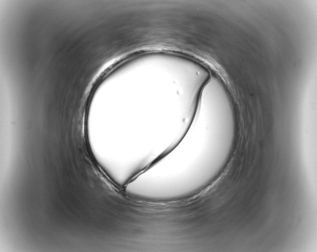 X0000084551224200703161640