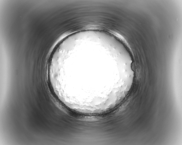 X0000084551227200703161640