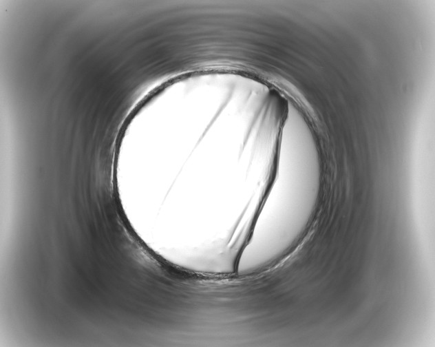 X0000084551228200703161640