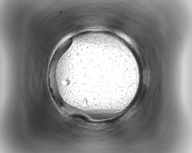 X0000084551229200703161640