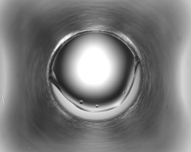 X0000084551230200703161640