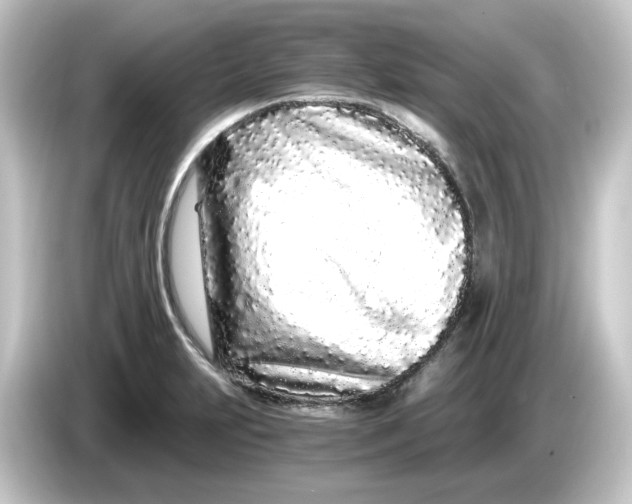 X0000084551231200703161640