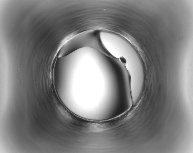 X0000084551234200703161641