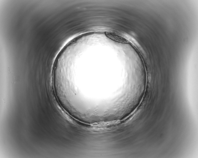 X0000084551236200703161641