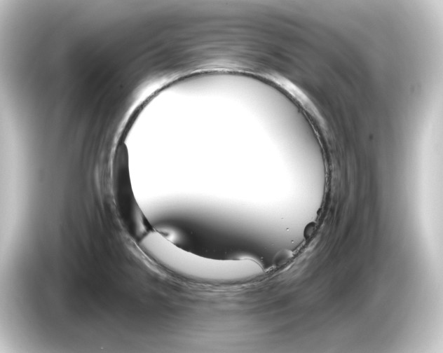 X0000084551238200703161641