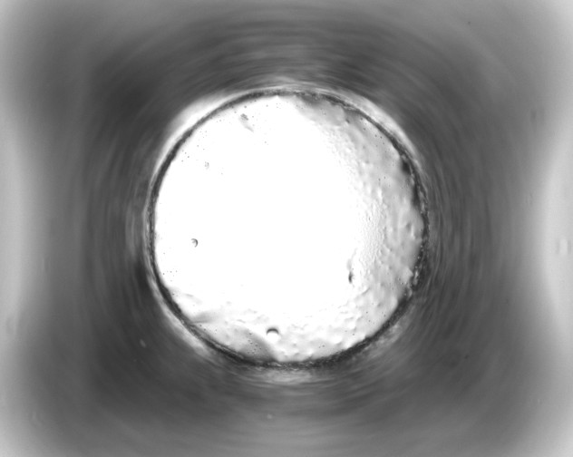 X0000084551239200703161641