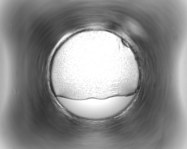 X0000084551240200703161641