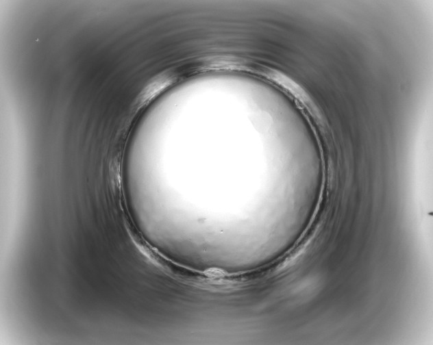 X0000084551241200703161641