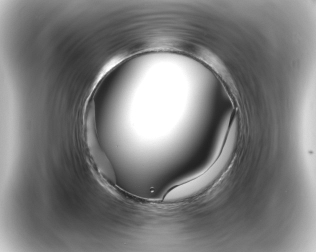 X0000084551242200703161641