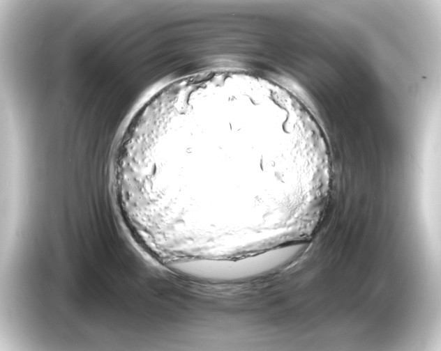 X0000084551243200703161641