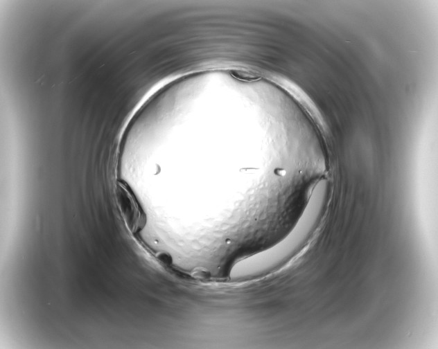 X0000084551244200703161641