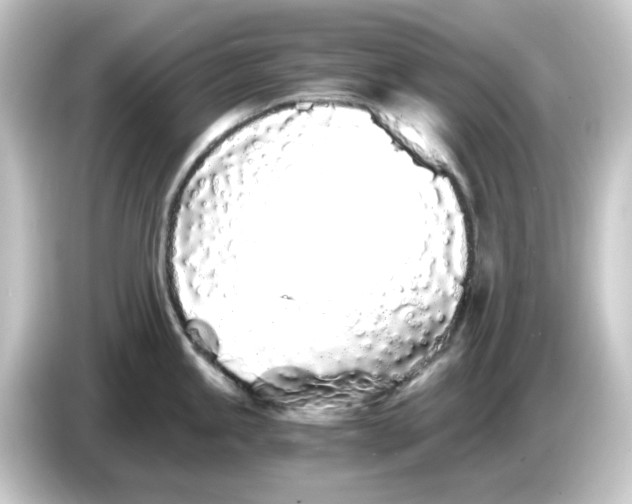 X0000084551245200703161641